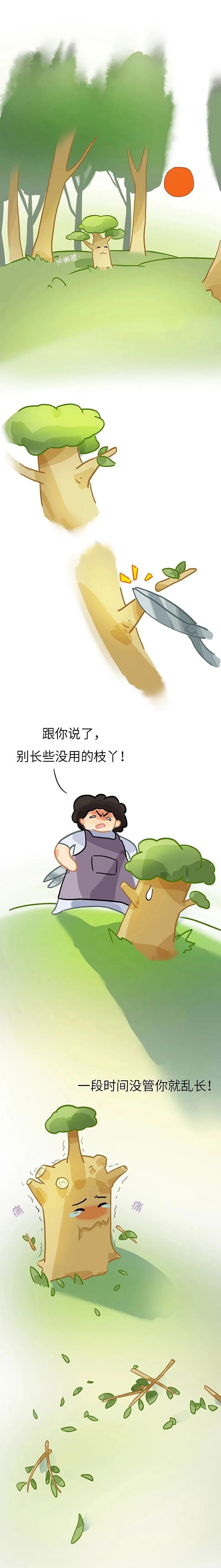 qw1.jpg