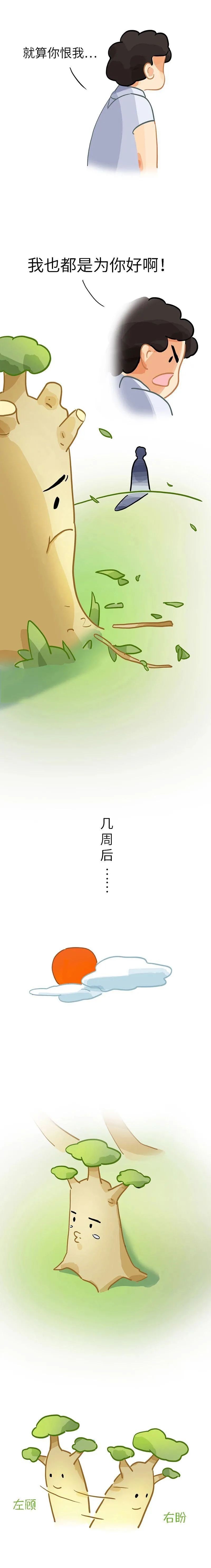 qw3.jpg