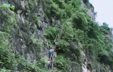 4c288a155e268cb36722649cbe255672.gif