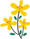 155200zzt6s4xyon994iy7.png