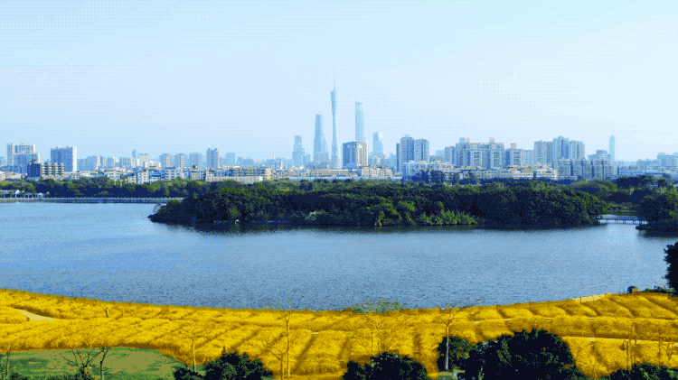 212931t43w2vddl4dvwxuq.gif