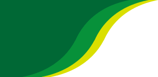 141830ds1jrepk5tdlvstj.png
